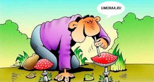 картинка, как наркоман нюхает грибы