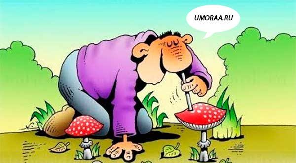 картинка, как наркоман нюхает грибы