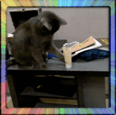 Кот сбрасывает предметы