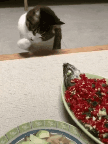 Кот хочет съесть рыбу